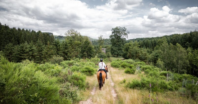 Dave City Ranch offers you rides in the woods