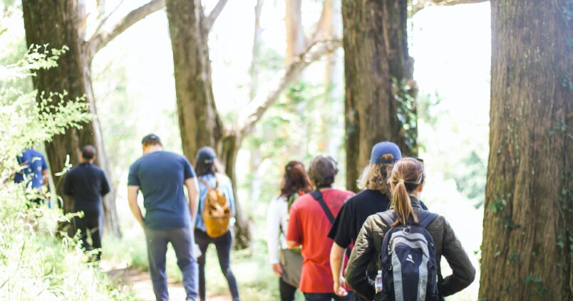 Se relaxer en pratiquant la randonnée dans la commune de Houyet