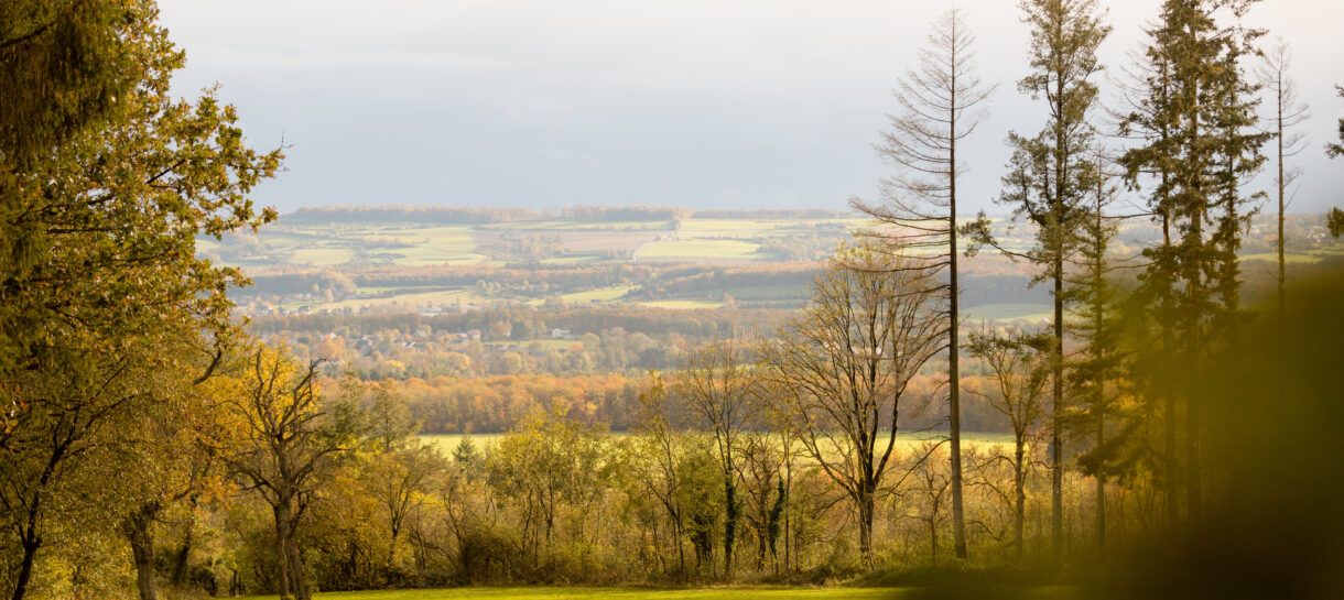 News and cultural events in Famenne Ardenne